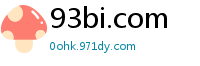 93bi.com